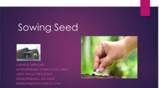 Sowing Seed
