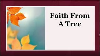 Faith from a Tree